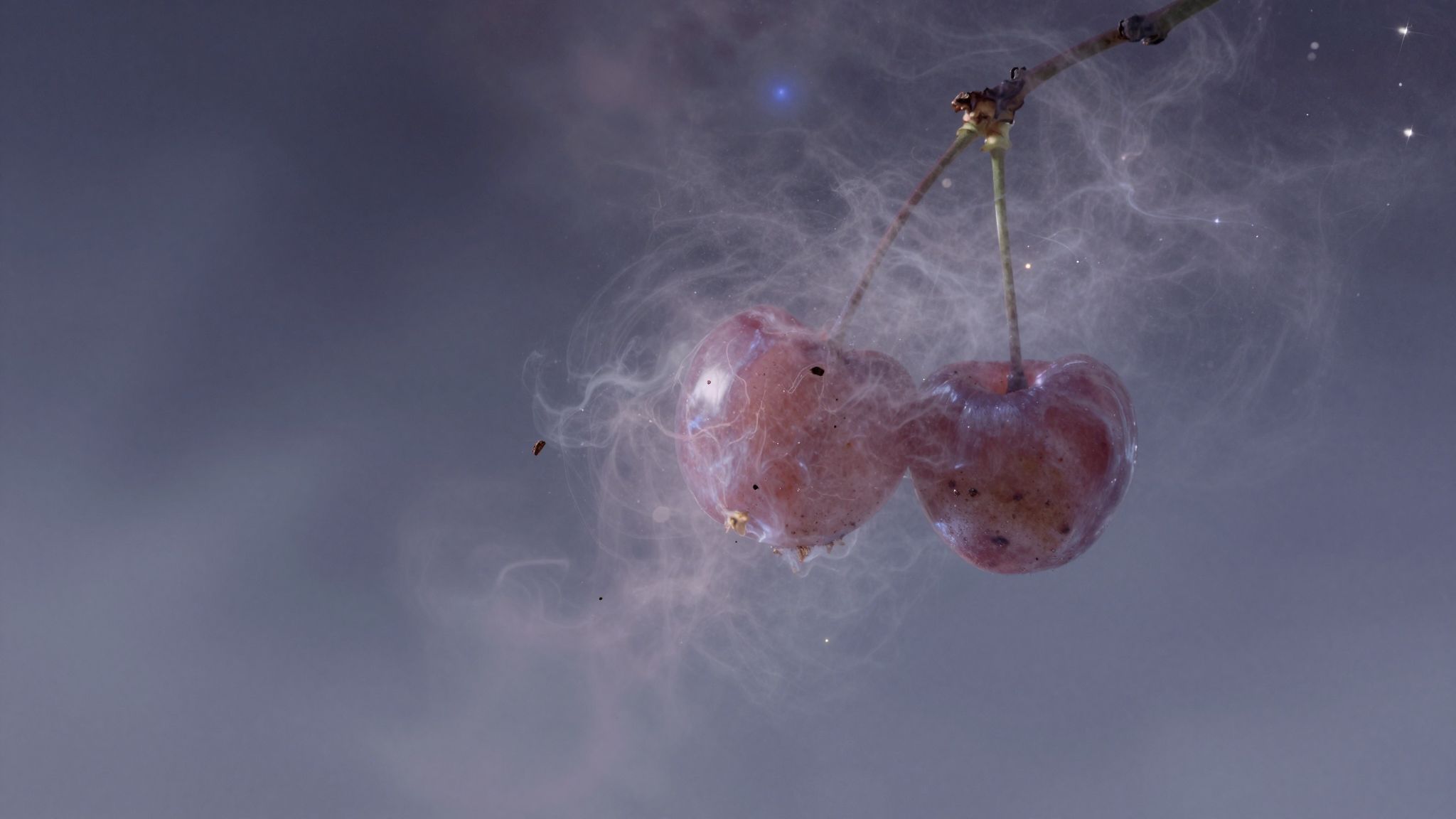 A rothadt meggy álomban gyakran veszteség és csalódás jele.